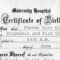 001 Birth Certificate Template Word Rare Ideas Fake With Regard To Girl Birth Certificate Template