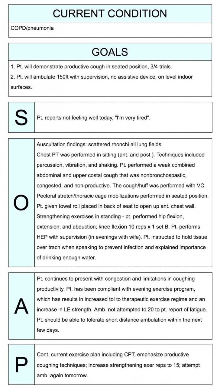 004 Soap Note Template Word Stupendous Ideas Document Format Pertaining To Soap Note Template Word