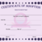 005 Template Ideas Birth Certificate Rare Word Puppy Dog With Regard To Editable Birth Certificate Template