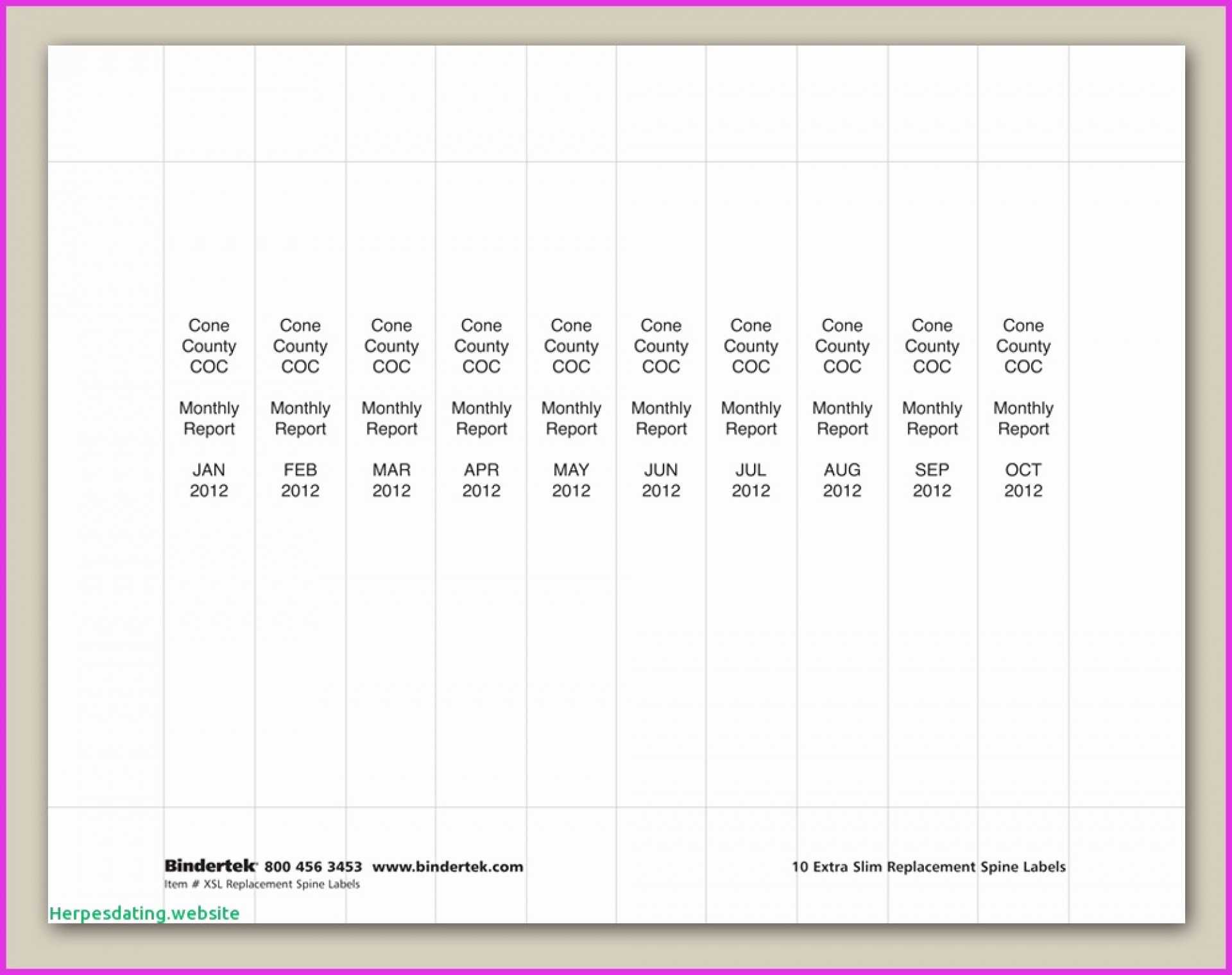 008 Template Ideas Avery Binder Spine Imposing Label 1 Inch Inside Binder Spine Template Word