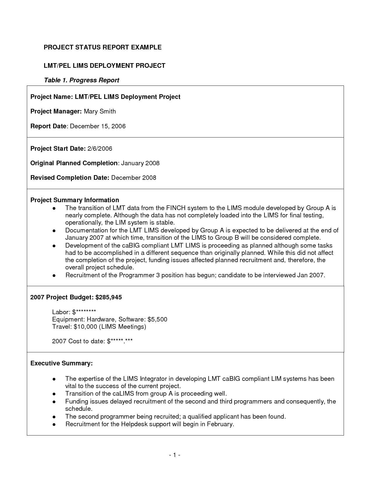 11+ Project Status Report Examples – Pdf | Examples Regarding Executive Summary Project Status Report Template