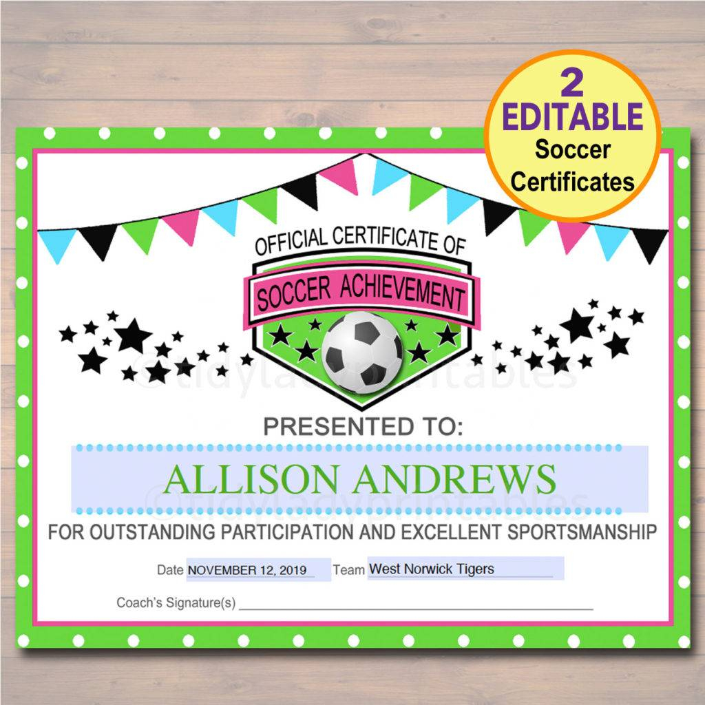13+ Soccer Award Certificate Examples – Pdf, Psd, Ai Throughout Soccer Award Certificate Templates Free