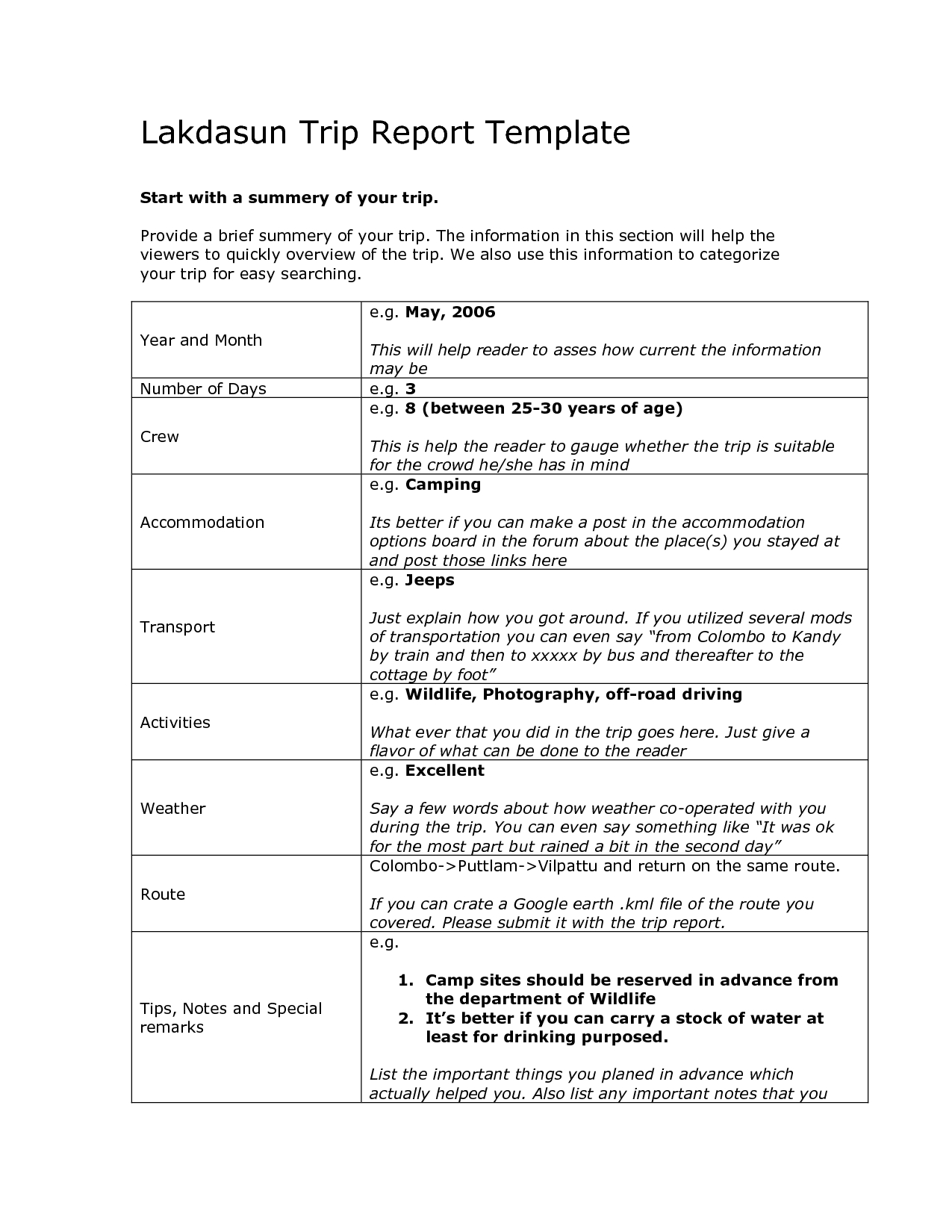 16 Business Travel Report Template Images - Sample Business Inside Business Trip Report Template Pdf