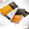 16 Tri Fold Brochure Free Psd Templates: Grab, Edit & Print For 3 Fold Brochure Template Psd