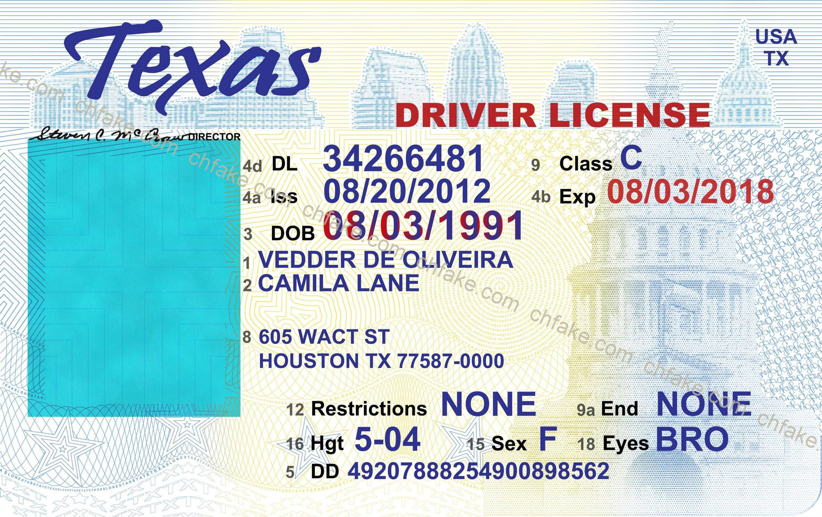 28 Drivers License Template Free | Robertbathurst Regarding Blank Drivers License Template