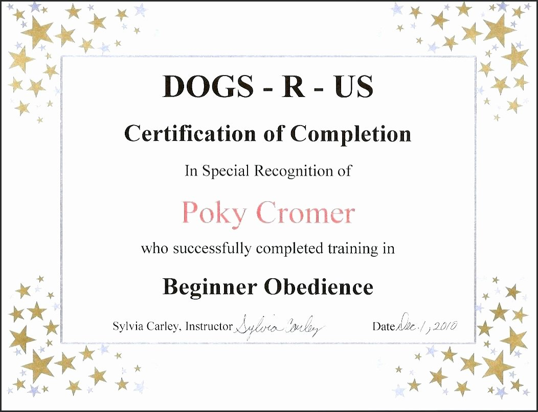 30 Dog Birth Certificate Template Free | Pryncepality With Birth Certificate Template For Microsoft Word