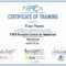 30 Fall Protection Training Certificate Template | Pryncepality In Fall Protection Certification Template
