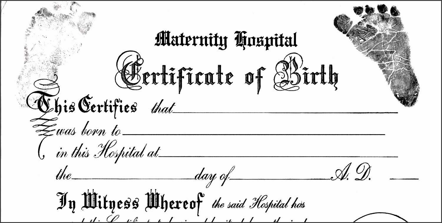 30 Fillable Birth Certificate Template | Pryncepality For Baby Doll Birth Certificate Template