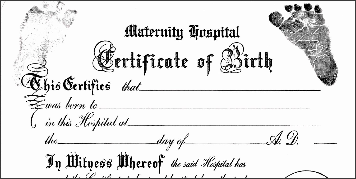 30 Fillable Birth Certificate Template | Pryncepality Inside Editable Birth Certificate Template