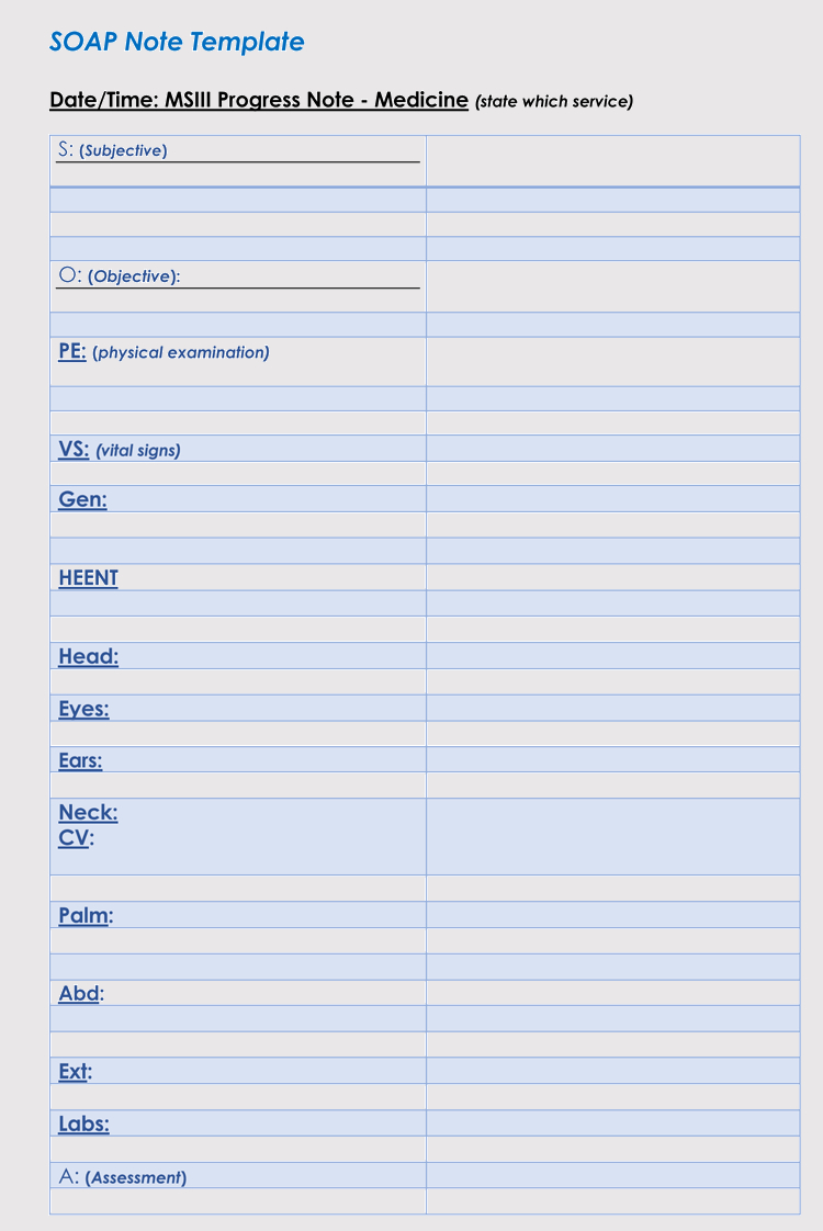 35+ Soap Note Examples (Blank Formats & Writing Tips) Regarding Soap Note Template Word