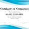 40 Fantastic Certificate Of Completion Templates [Word In Template For Training Certificate