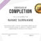 40 Fantastic Certificate Of Completion Templates [Word With Free Training Completion Certificate Templates