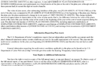 401K Summary Annual Report: Everything You Need To Know with regard to Summary Annual Report Template