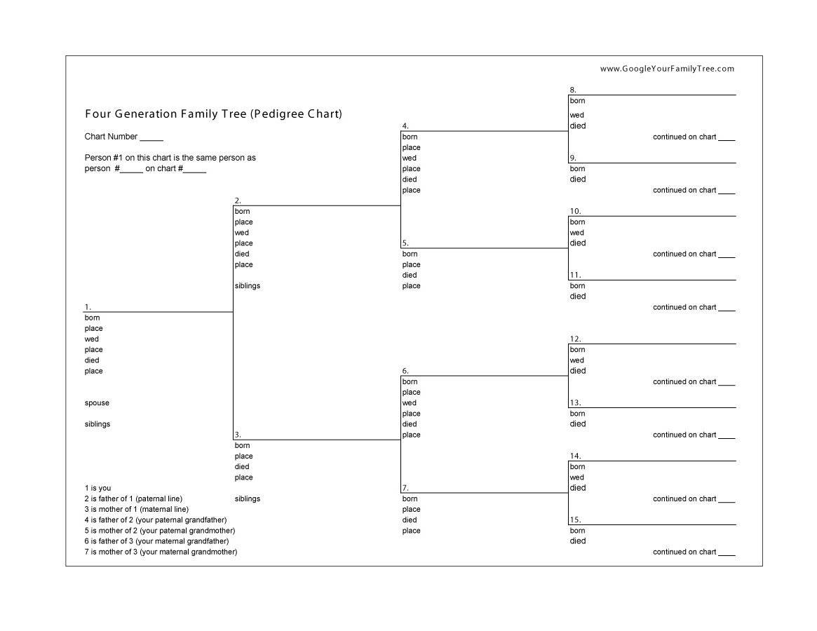 50+ Free Family Tree Templates (Word, Excel, Pdf) ᐅ Pertaining To Blank Tree Diagram Template