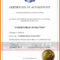 8+ Certificate Of Authorization Template | Weekly Template in Certificate Of Authorization Template