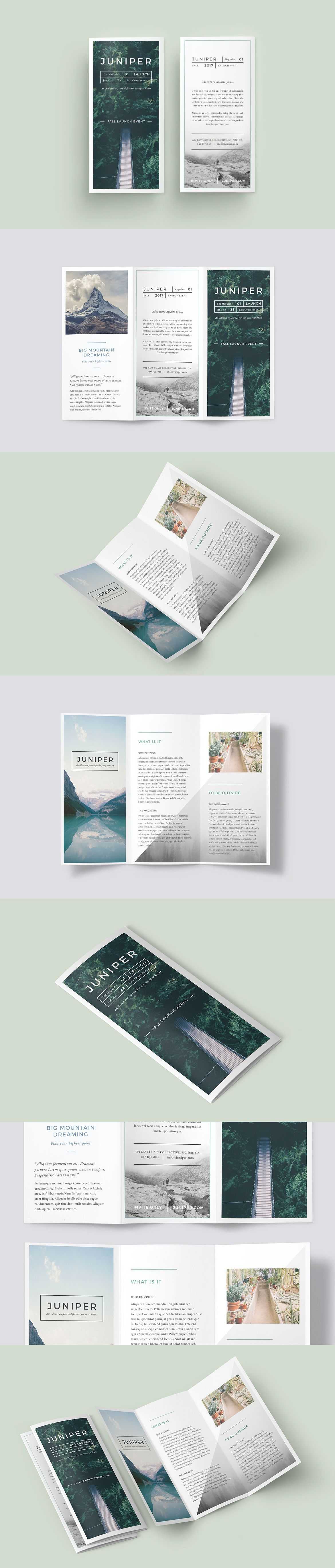 A Beautiful Multipurpose Tri Fold Dl Brochure Template In Tri Fold Brochure Template Indesign Free Download