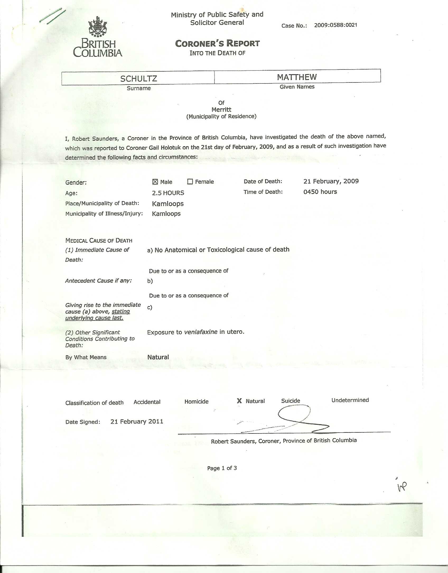 Academic Writing Assistance: Argumentative Essay Rubric How For Coroner's Report Template