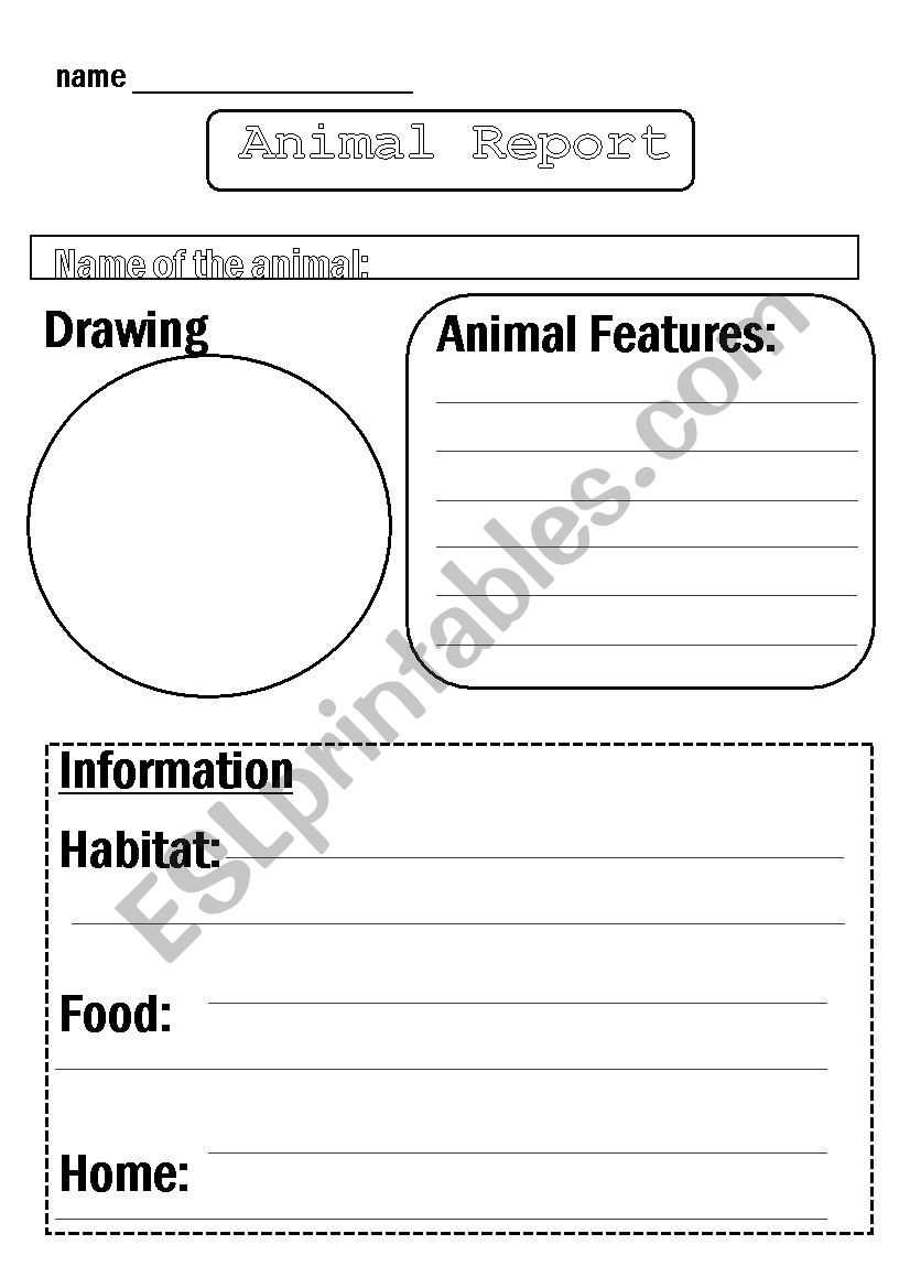 Animal Report Template – Esl Worksheetflora.m123 Throughout Animal Report Template