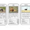 Animal Top Trumps Game – English Esl Powerpoints In Top Trump Card Template