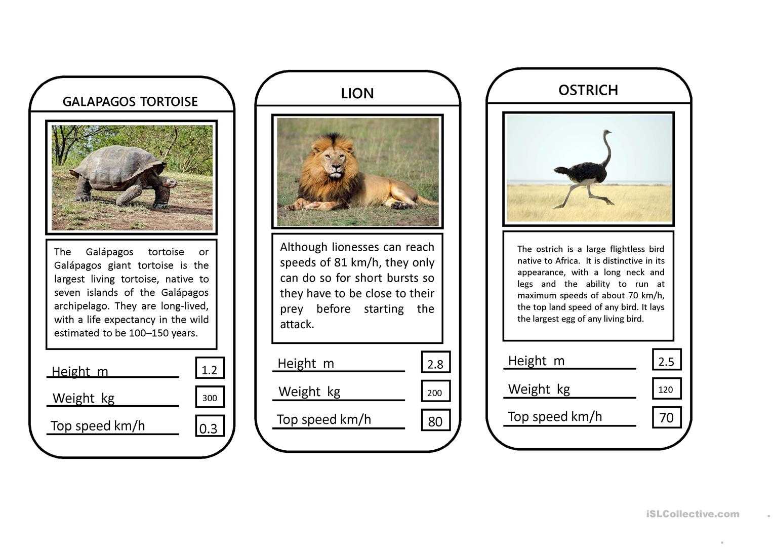 Animal Top Trumps Game – English Esl Powerpoints In Top Trump Card Template