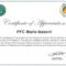 Army Certificate Of Appreciation – Climatejourney With Regard To Army Certificate Of Appreciation Template