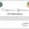 Army Certificate Of Appreciation – Climatejourney With Regard To Army Certificate Of Appreciation Template