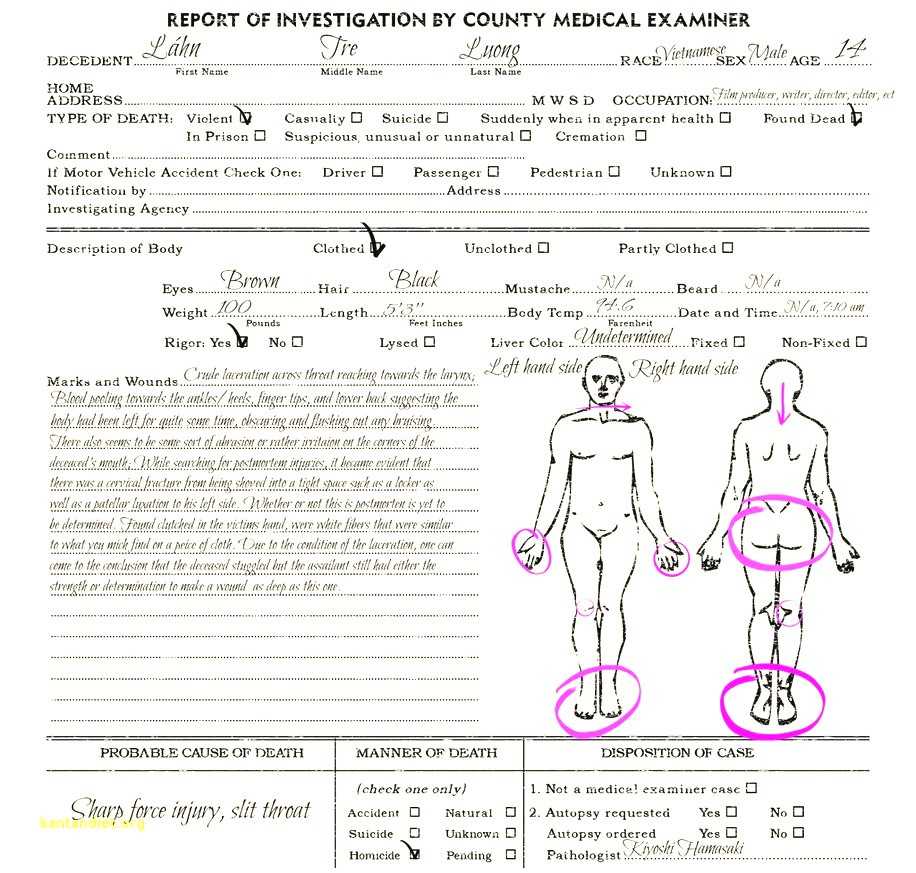 Autopsy Report Template Google Docs Ten Great Autopsy – Grad In Blank Autopsy Report Template