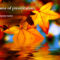 Autumn Powerpoint Template | Autumn Awesome | Powerpoint throughout Free Fall Powerpoint Templates