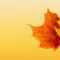 Autumn Ppt Background – Powerpoint Backgrounds For Free Within Free Fall Powerpoint Templates