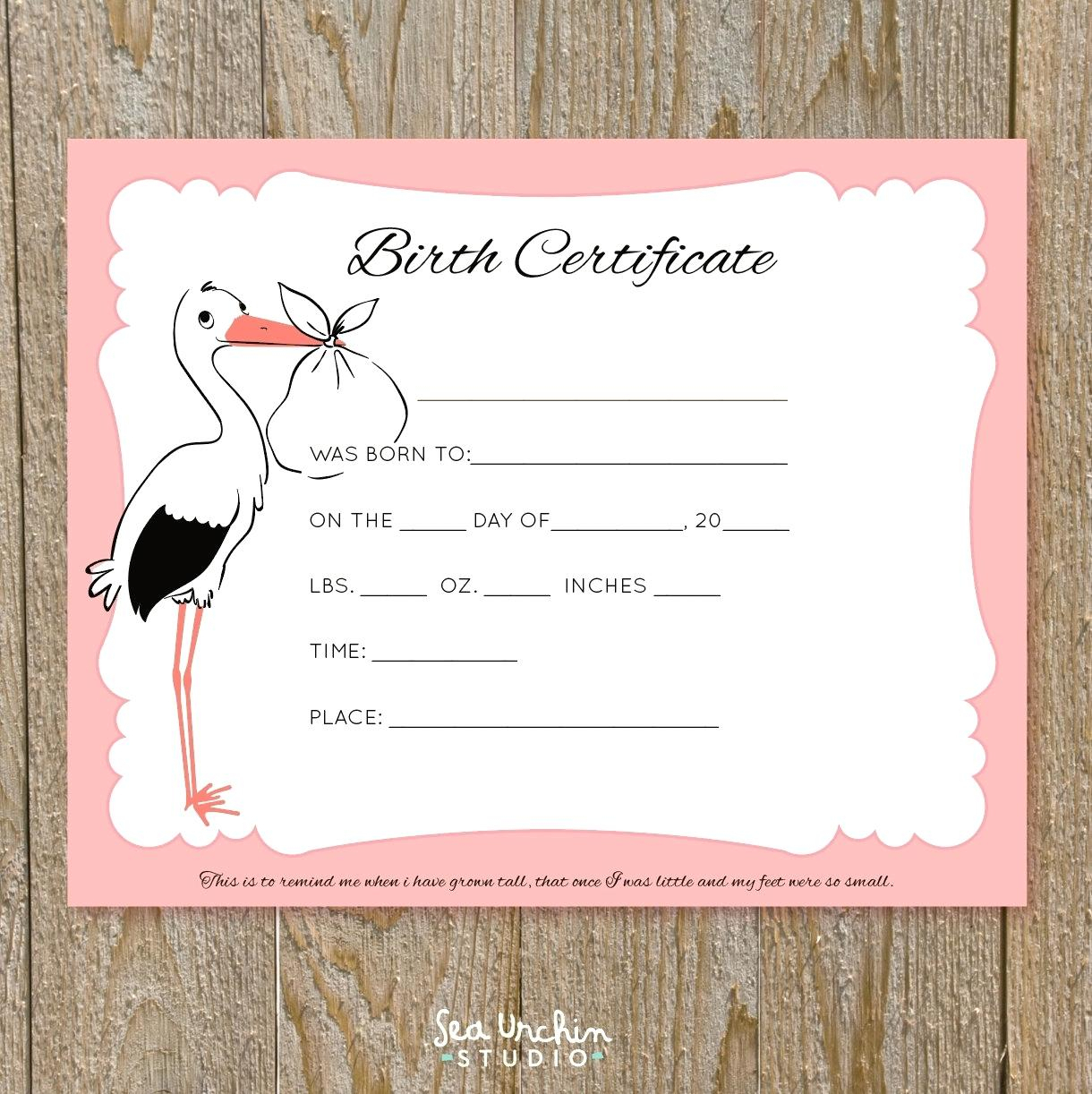 free printable birth certificate - Dicim With Regard To Baby Doll Birth Certificate Template
