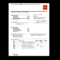 Bank, Statement, Wells Fargo Template, Fake, Custom With Fake Credit Card Receipt Template