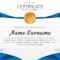 Beautiful Certificate Template. Vector Design For Award, Diploma Pertaining To Beautiful Certificate Templates