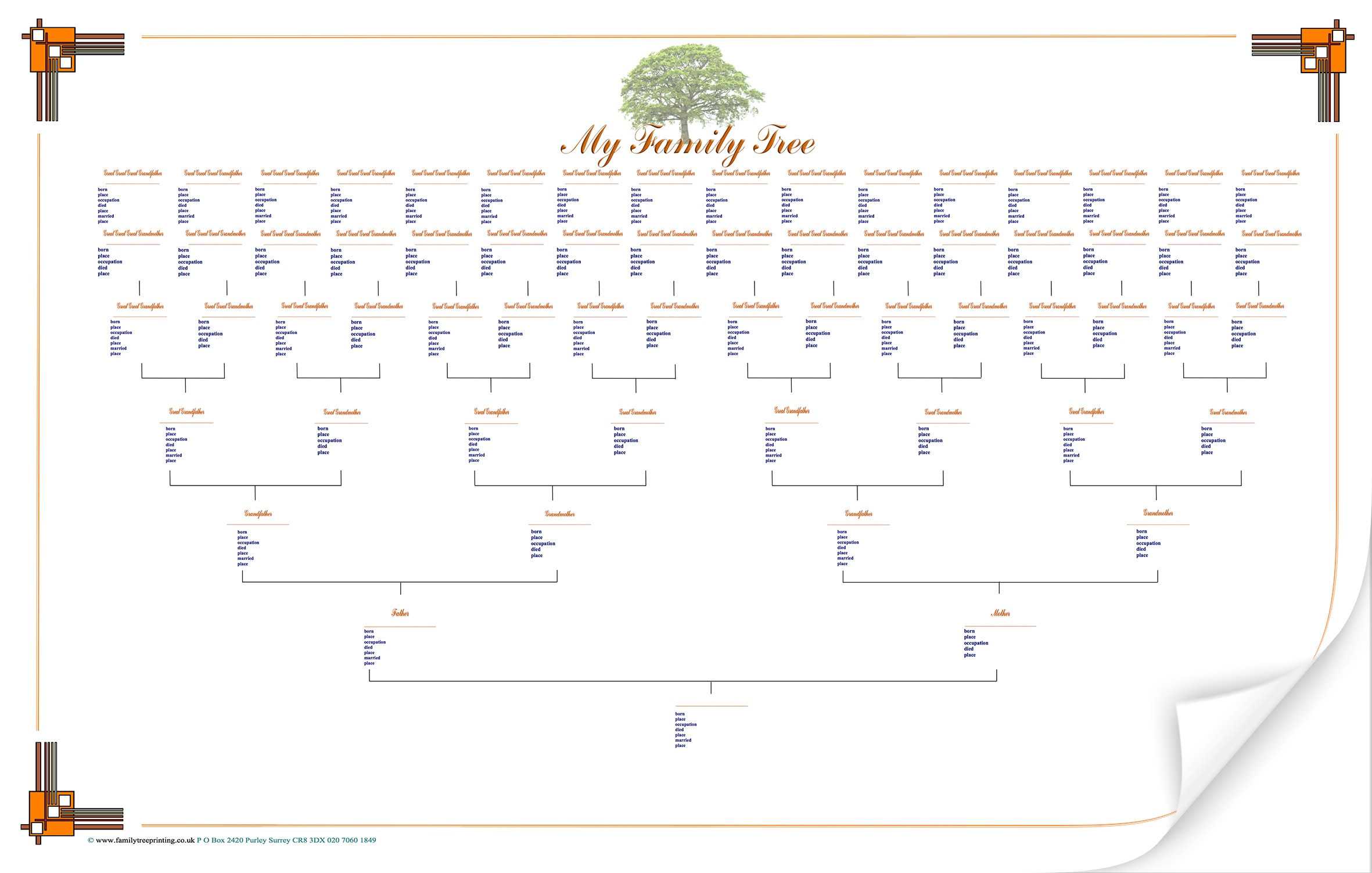 Best Photos Of Blank Family Tree Chart Template – Large With Regard To Blank Tree Diagram Template