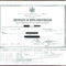 Birth Certificate Maker – Adaptpaper.co Regarding Birth Certificate Fake Template