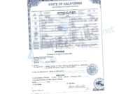 novelty birth certificate template cumed org make a birth certificate for fun