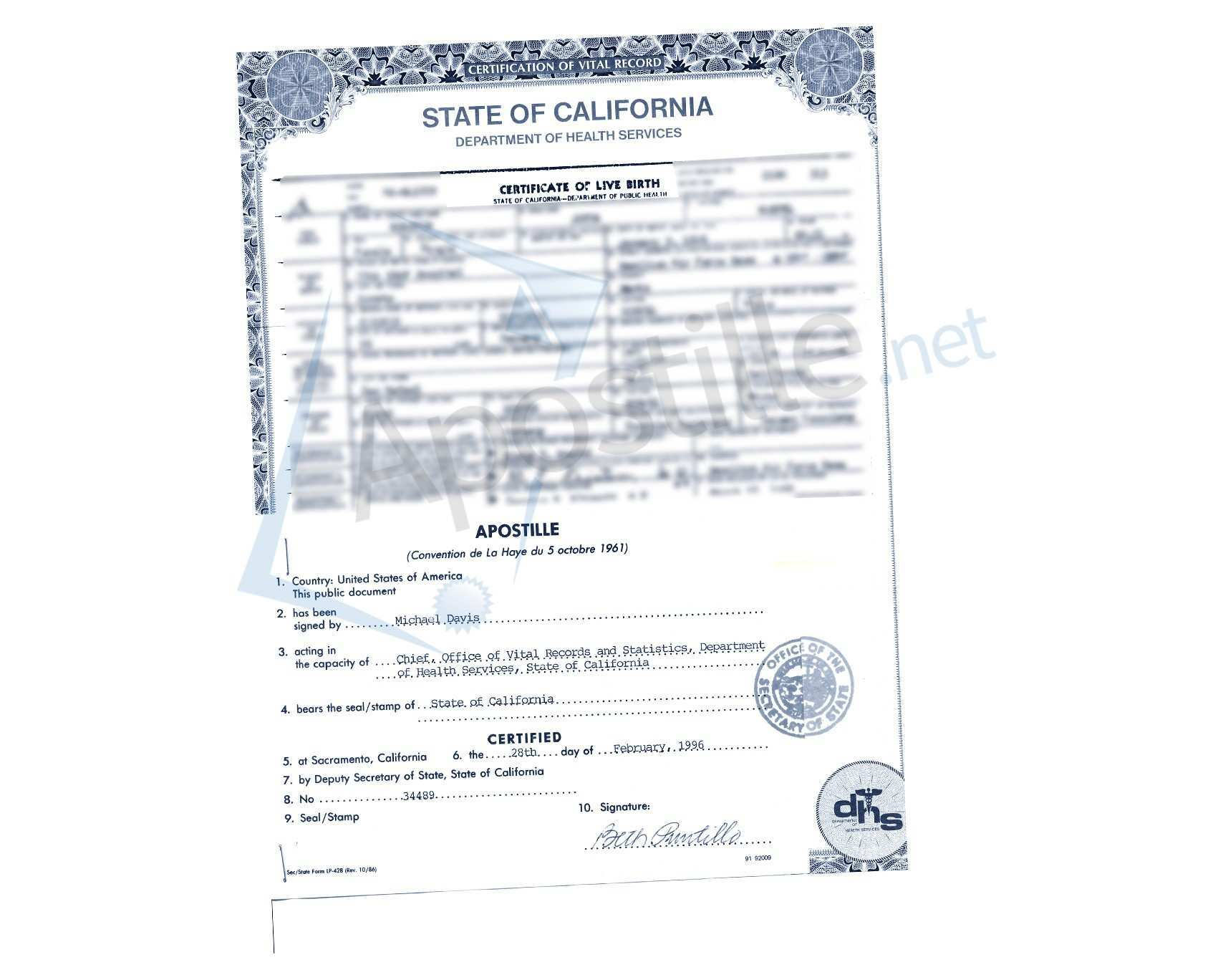 Birth Certificate Template Bd With Maker For Fun Plus Free With Regard To Novelty Birth Certificate Template