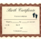 Birth Certificate Template | Printable Baby Birth In Blank Marriage Certificate Template