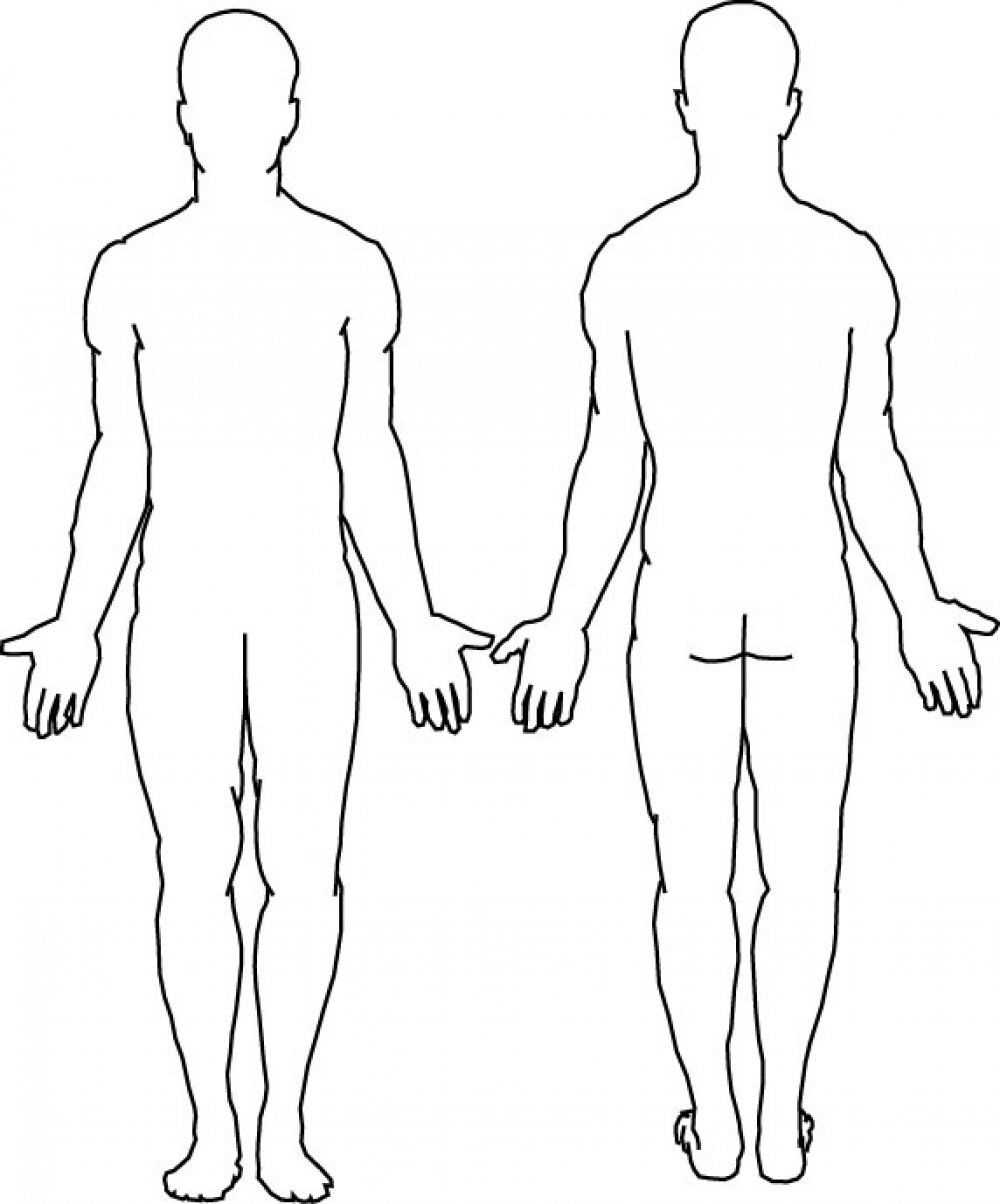 Blank Body | Final Tattoo Ideas | Human Body Diagram, Body For Blank Body Map Template