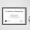 Blank Completion Certificate Template Throughout Mock Certificate Template