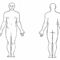 Blank Human Body Map – New Wiring Diagrams With Blank Body Map Template