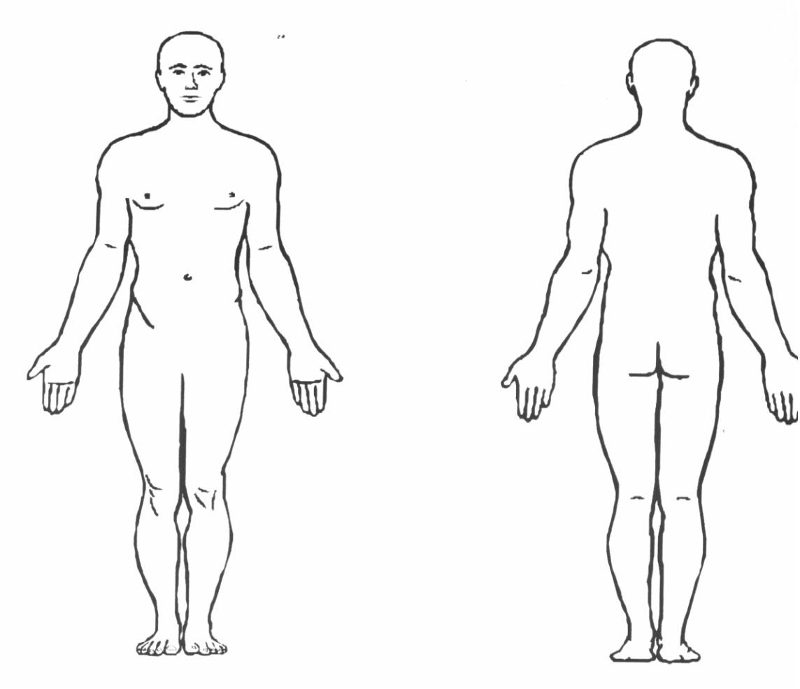 Blank Human Body Map – New Wiring Diagrams With Blank Body Map Template
