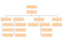 Blank Org Chart Template | Lucidchart regarding Free Blank Organizational Chart Template
