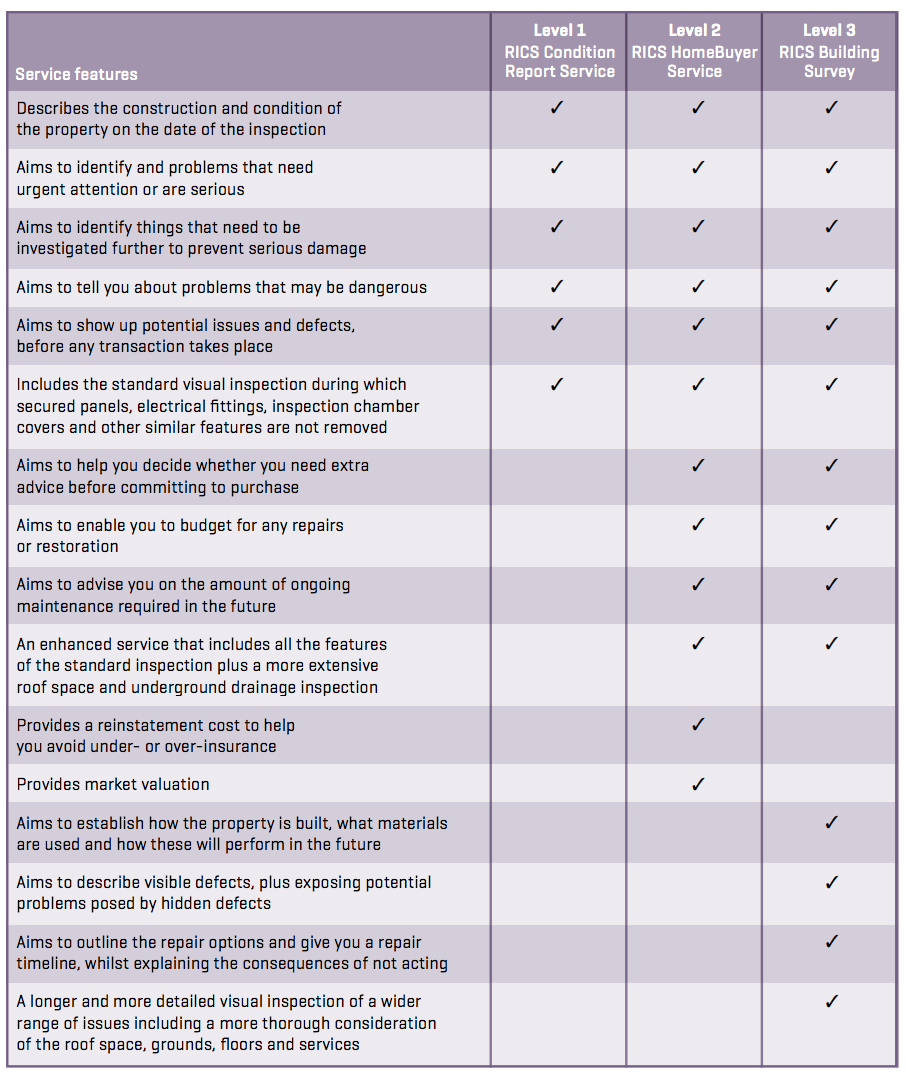 Building Survey (Formerly Structural Survey) | When Should I For Building Defect Report Template