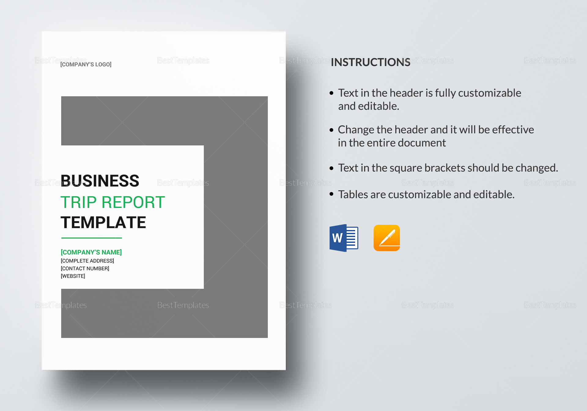 Business Trip Report Template Pertaining To Business Trip Report Template