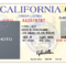 California Drivers License Template | California In 2019 With Regard To Blank Drivers License Template