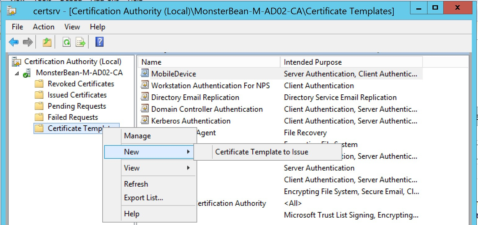 Certificate Auhtority Archives Rebeladmin Workstation Intended For Workstation Authentication Certificate Template