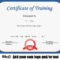 Certificate For Training – Sinda.foreversammi Intended For Template For Training Certificate