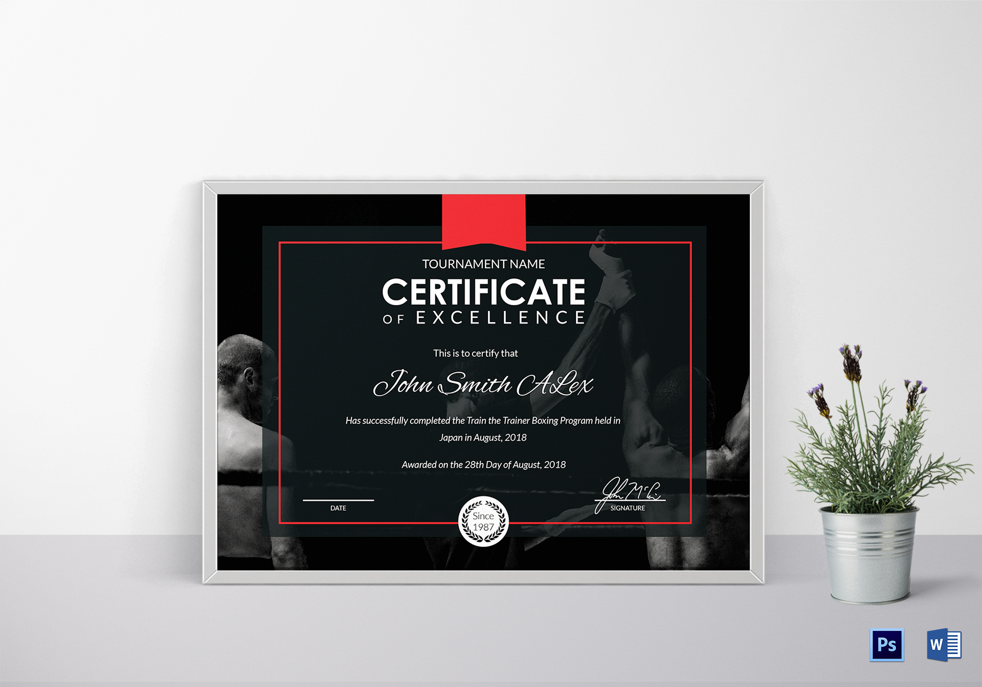 Certificate Of Boxing Template Throughout Commemorative Certificate Template