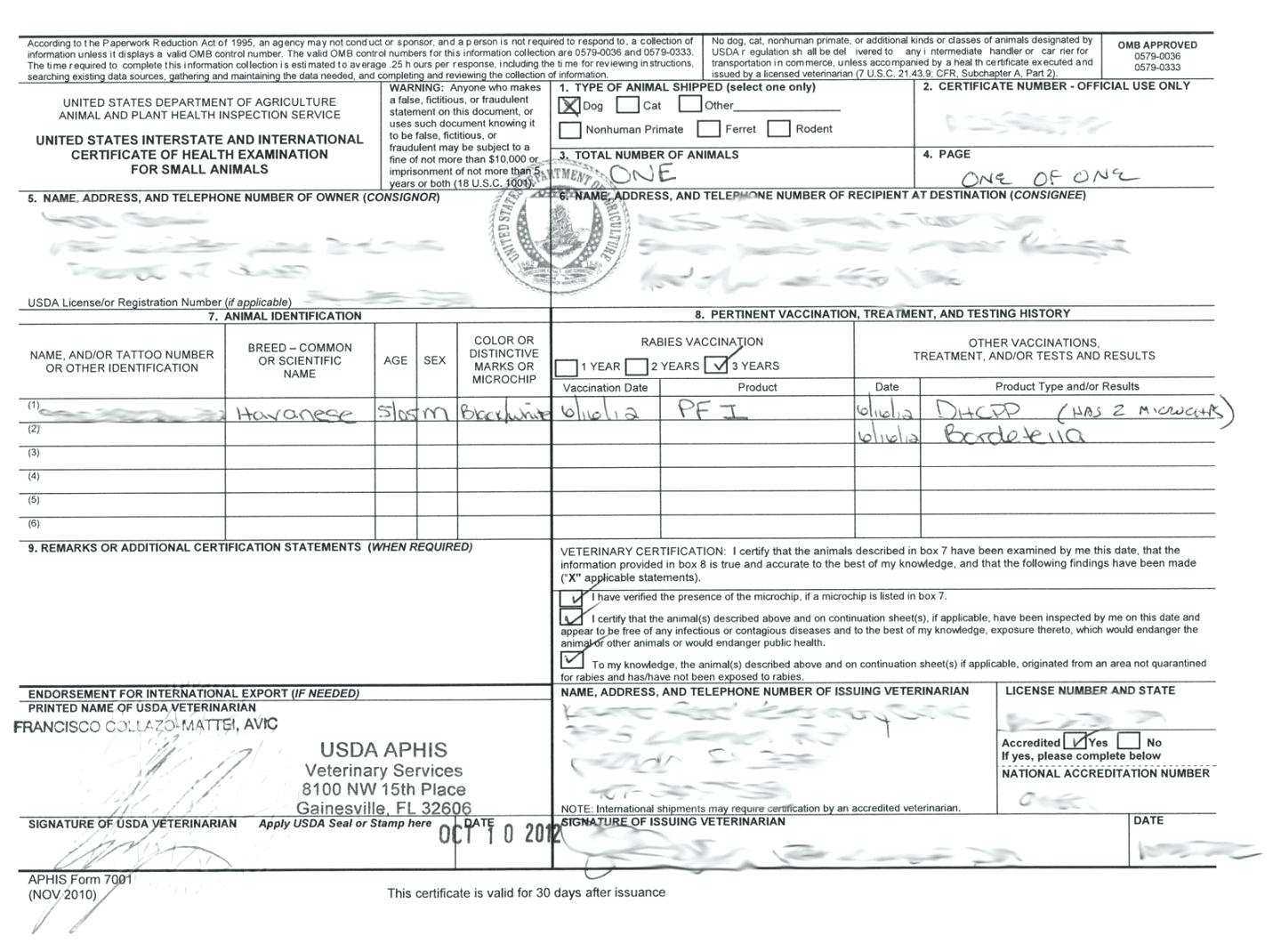 Certificate Of Vaccination Template – Corto.foreversammi Regarding Veterinary Health Certificate Template