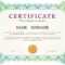 Certificate Template With Guilloche Elements. Green Diploma Border.. In Validation Certificate Template